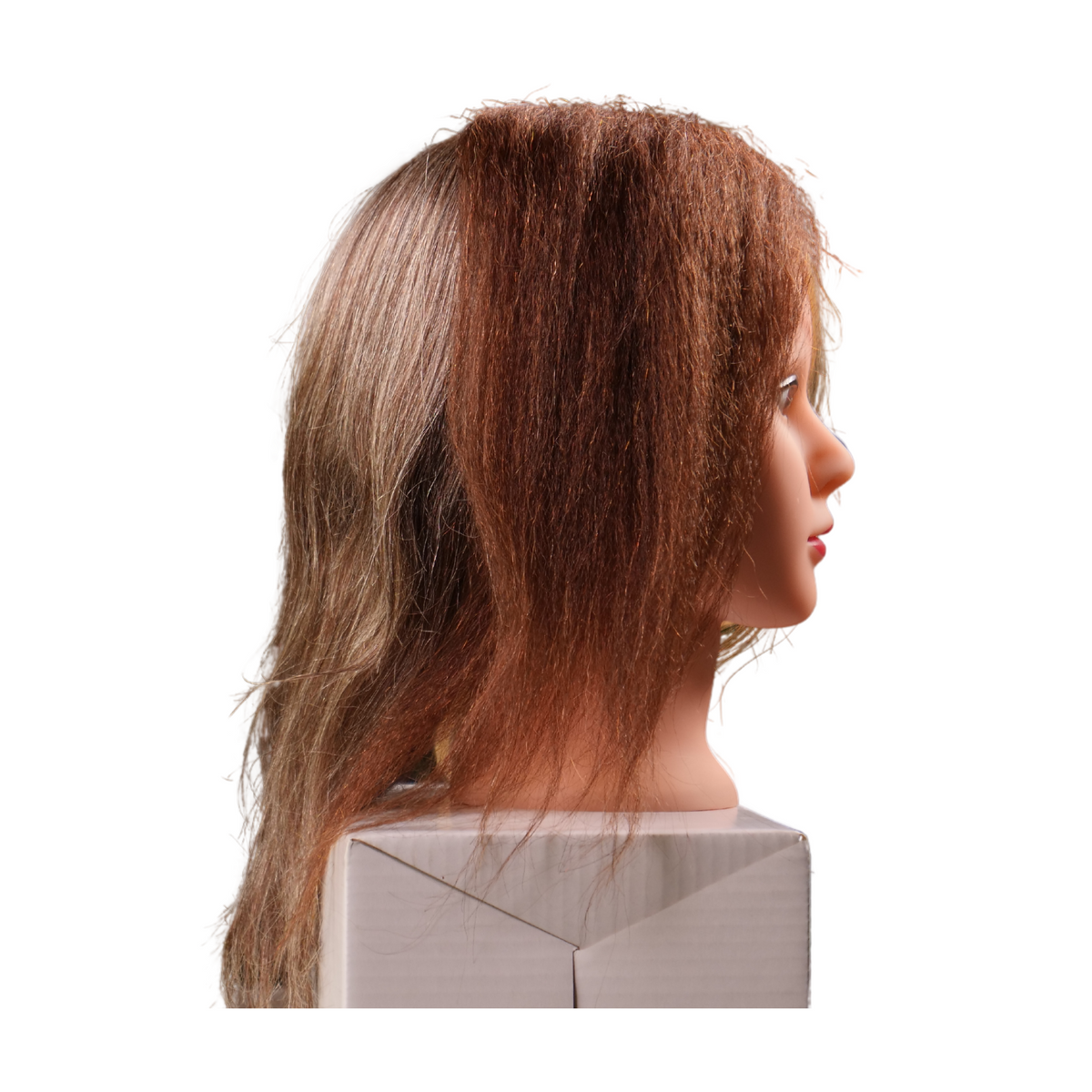 Ebony 4 Quad Multicultural Manikin