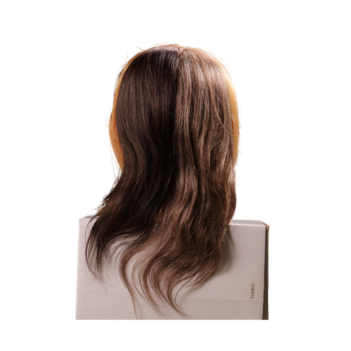 Meg 4 Quad Manikin